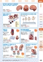 squil_4