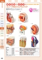 squil_4