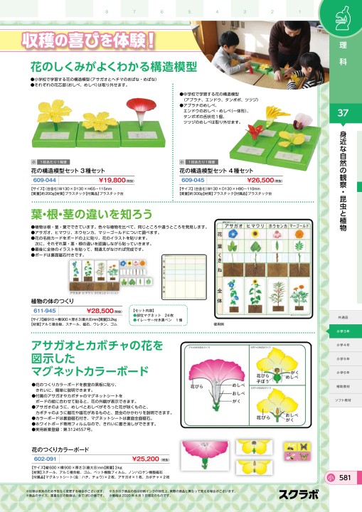 スクラボ５小学校